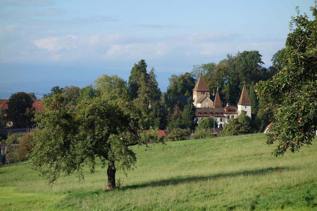 Schloss Muenchenwiler Murten Esterno foto